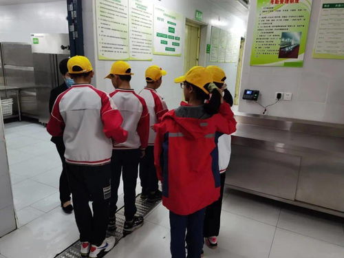 校多部門聯合檢查，提升餐飲服務質量
