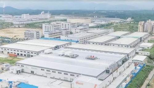 中國崛起為全球植物基食品重要市場，Omni新葷主義引領安心純素餐飲服務新潮流